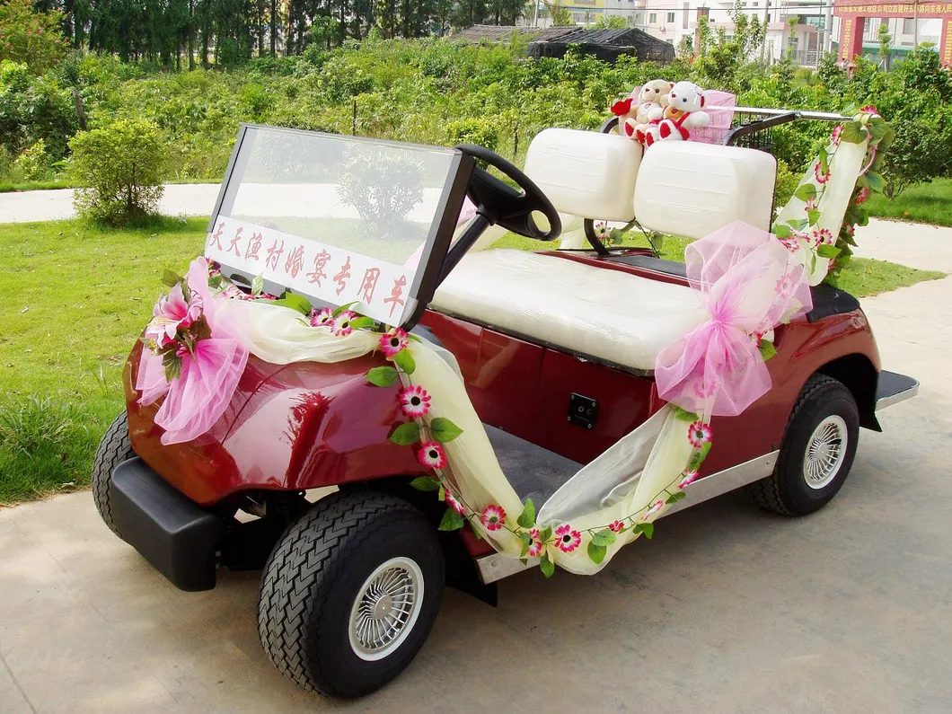 2 Seaters Electric Sightseeing Car for Sale (LT_A2)
