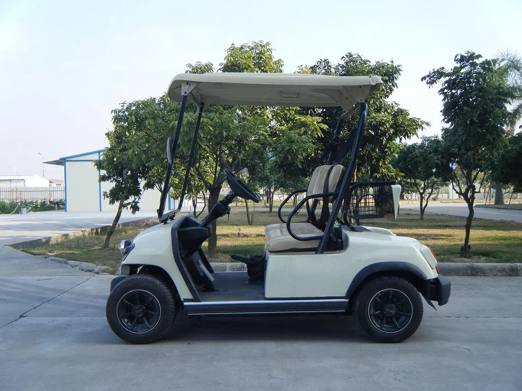 2 Seaters Electric Sightseeing Car for Sale (LT_A2)