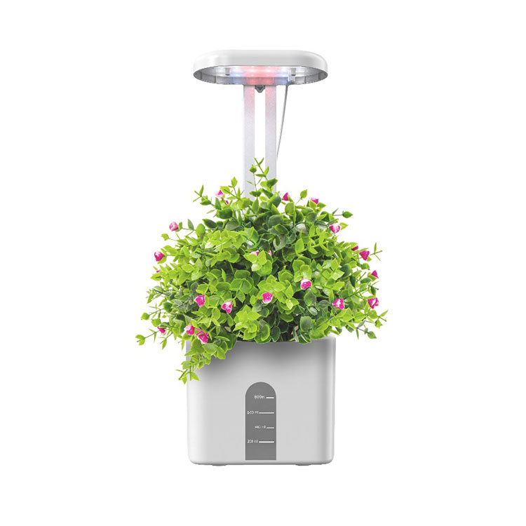 Which LED light is best for plant growth?