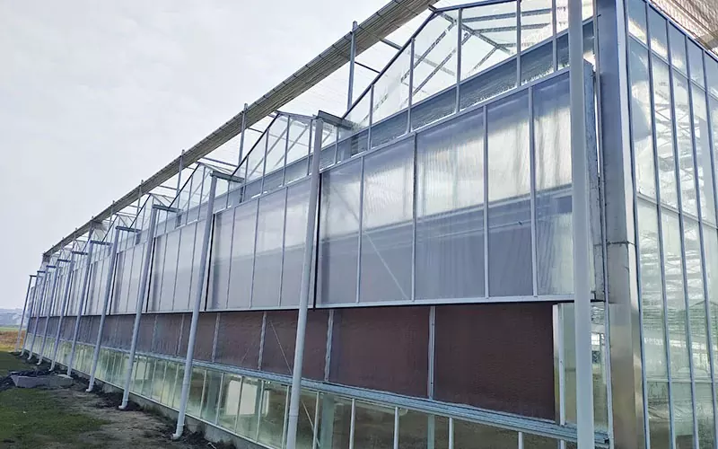 PVC vs. Polycarbonate: Which is the Best Choice for Your Greenhouse?