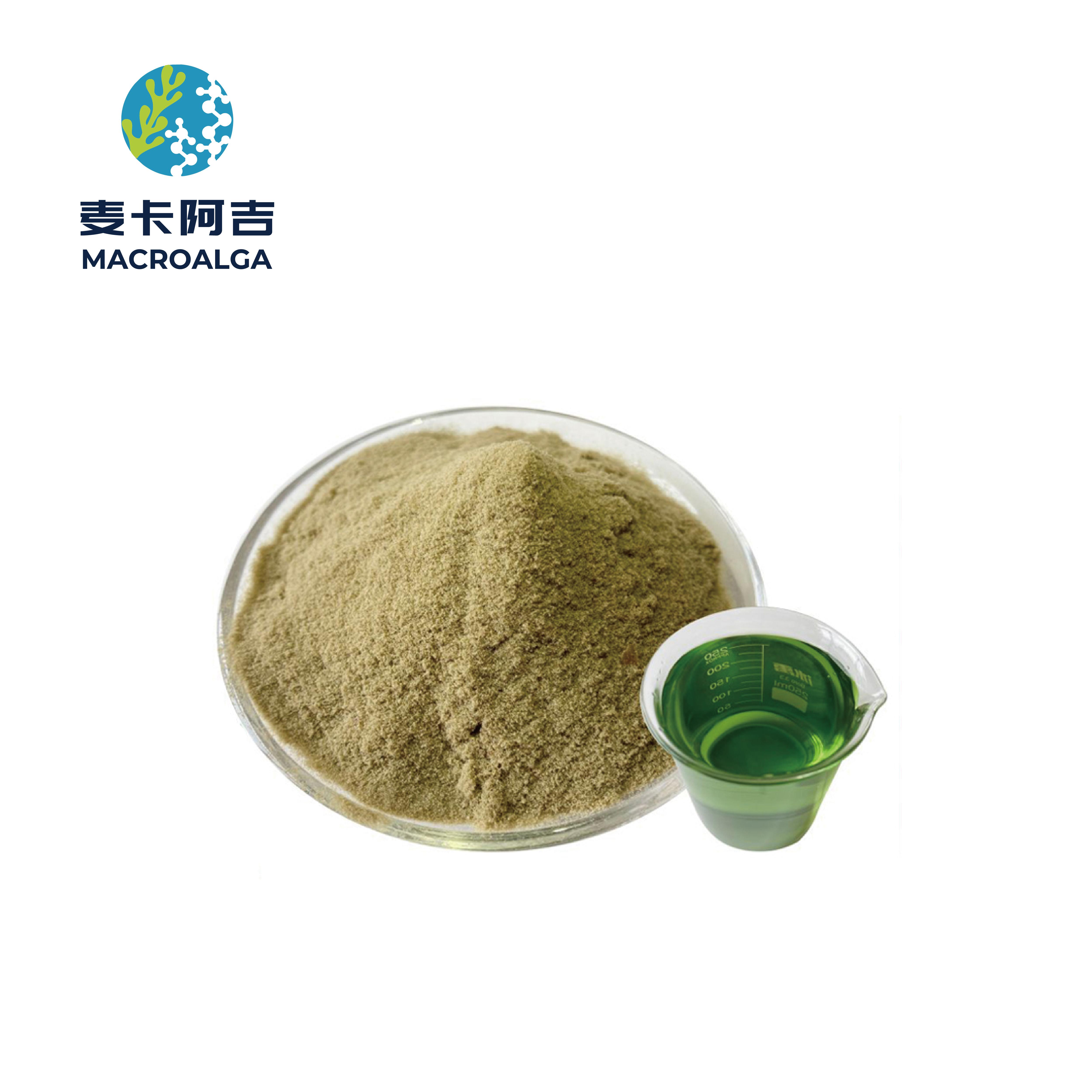 China Seaweed Fertilizer: Which One Is Good for Your Plants?