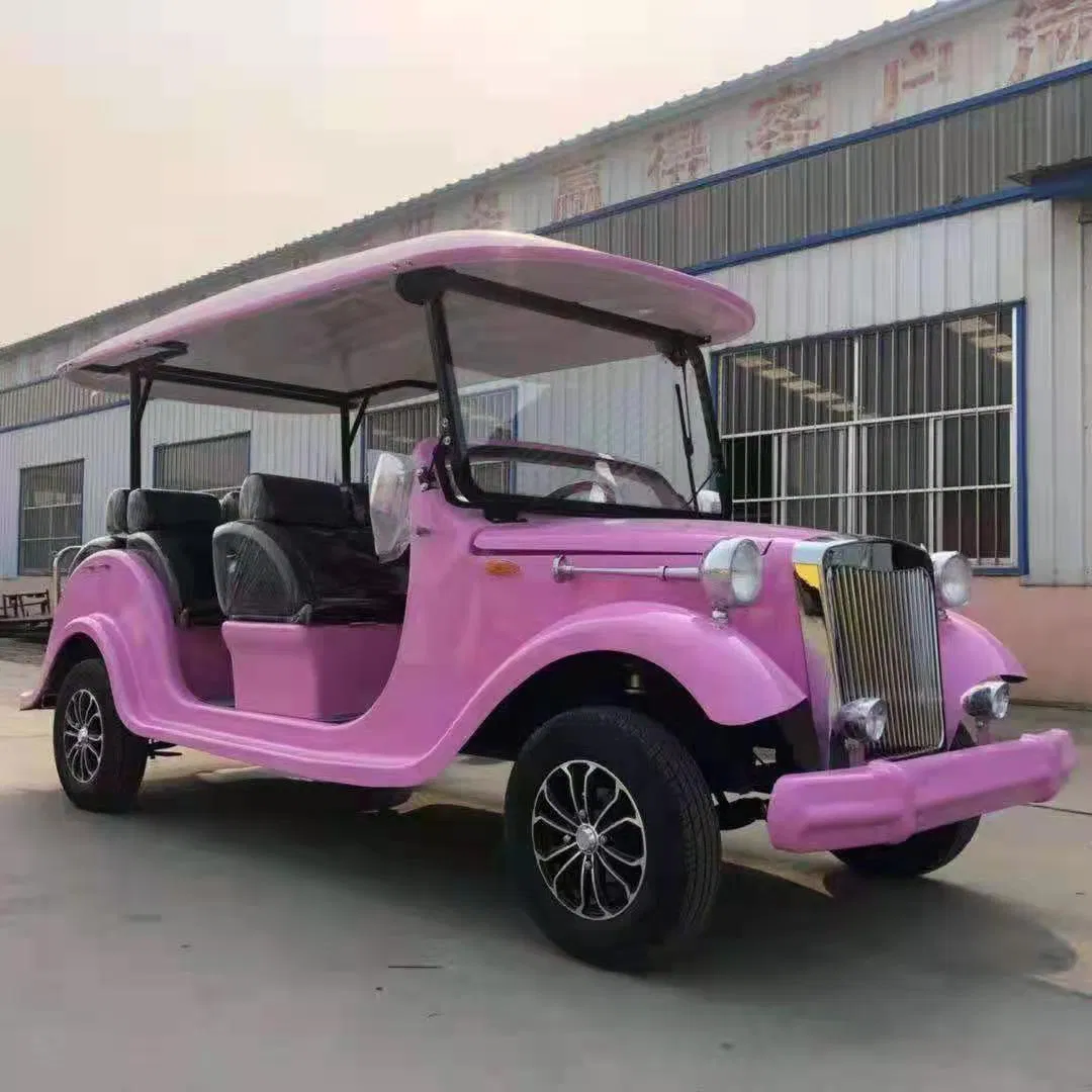 48V White Hike VIP Container 2400* 1190 *1800mm Electrical Car Electric Bus