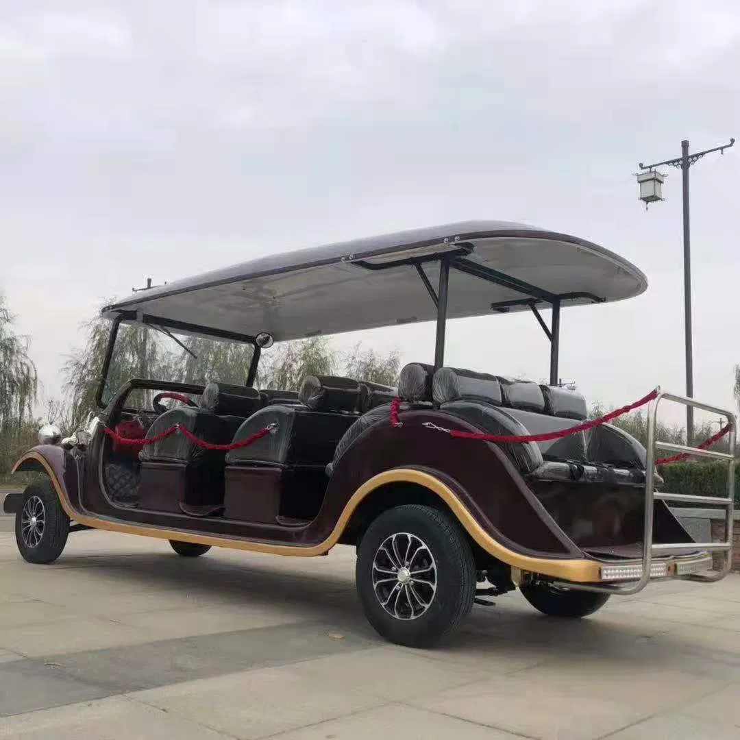 9-11 5kw Hike VIP Container 2400* 1190 *1800mm Golf Trolleys Electric Bus