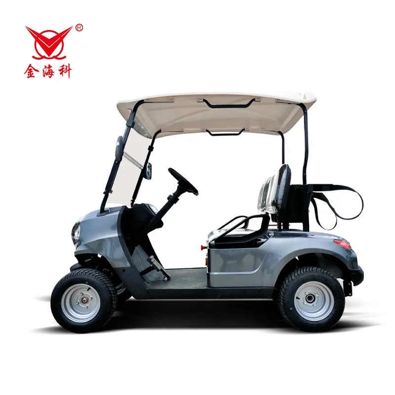 Chinese Manufacturer Export 2 Seats New Designed Club Electric Golf Cart