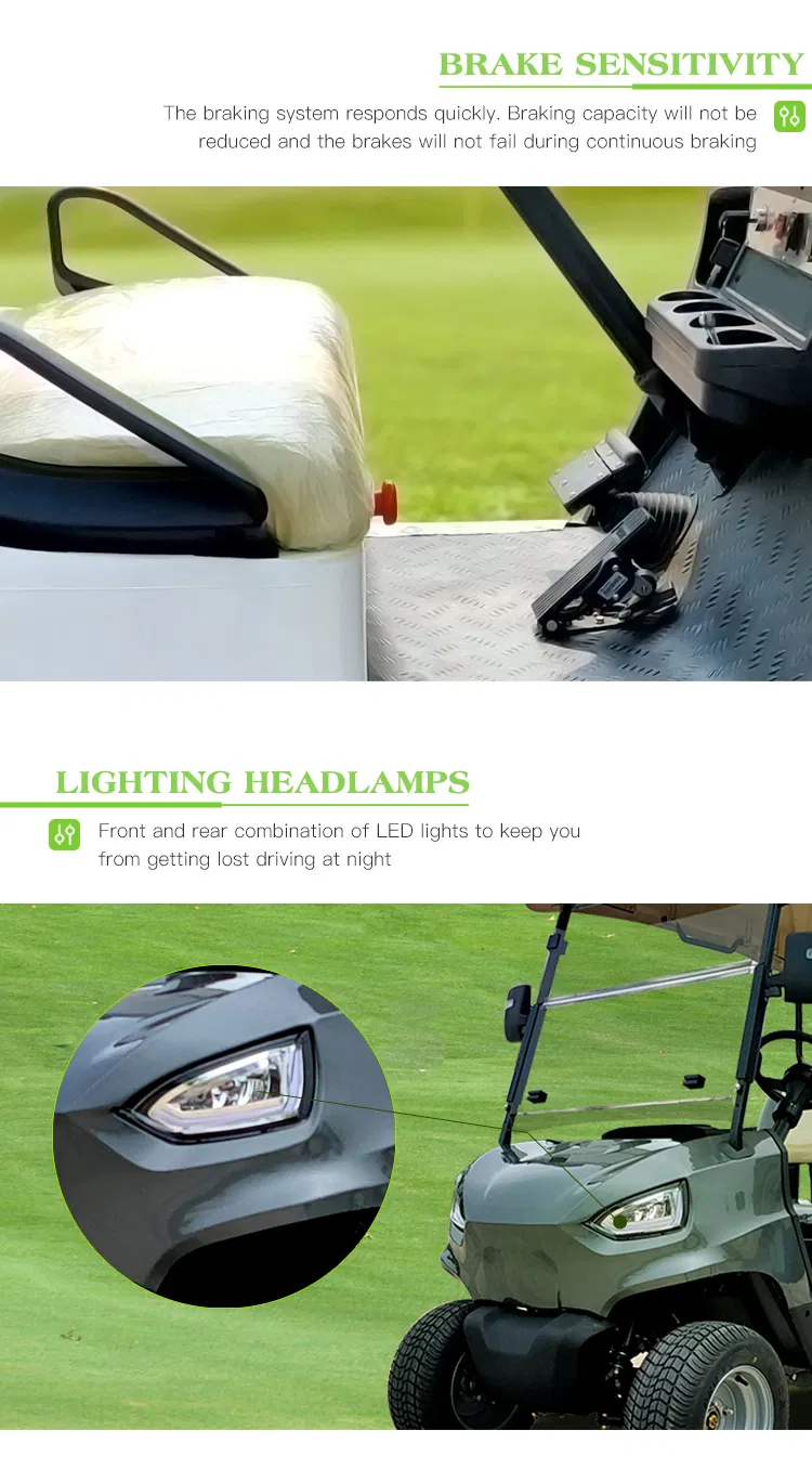 Electric 1-2 Jinhaike Packed and Loaded by Container Mini Car Cart