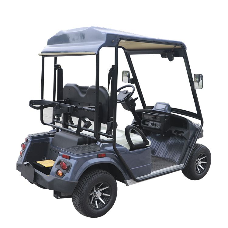 High Performance Custom 2 Seater Electric Golf Cart
