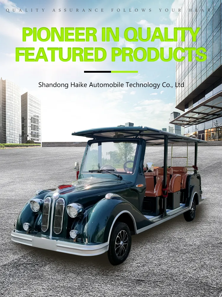 ISO Approved 20-30 Km/H Hike VIP Container 2400*1190*1800mm Electric Classic Car