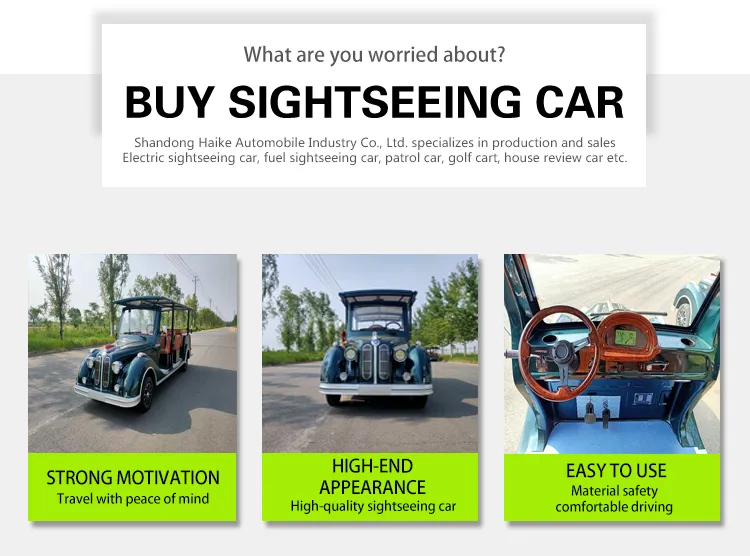 ISO Approved 20-30 Km/H Hike VIP Container 2400*1190*1800mm Electric Classic Car