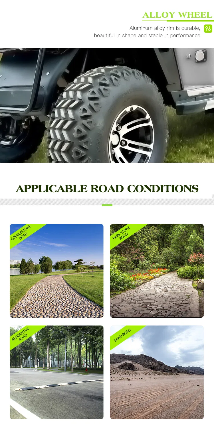 ISO Approved Cart Buggies Electric Golf Buggy with High Quality Hkgr-C2
