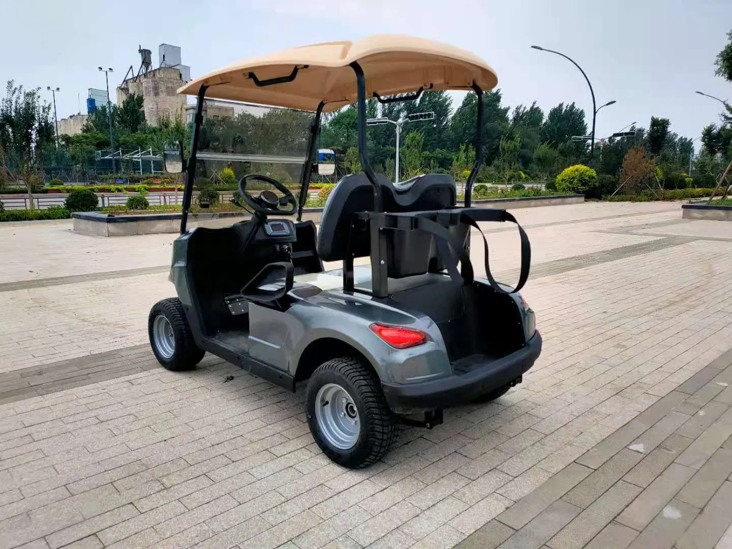 Luxury Electric Golf Cart 2 Seats off Road High Power Wholesale Club Car Buddy
