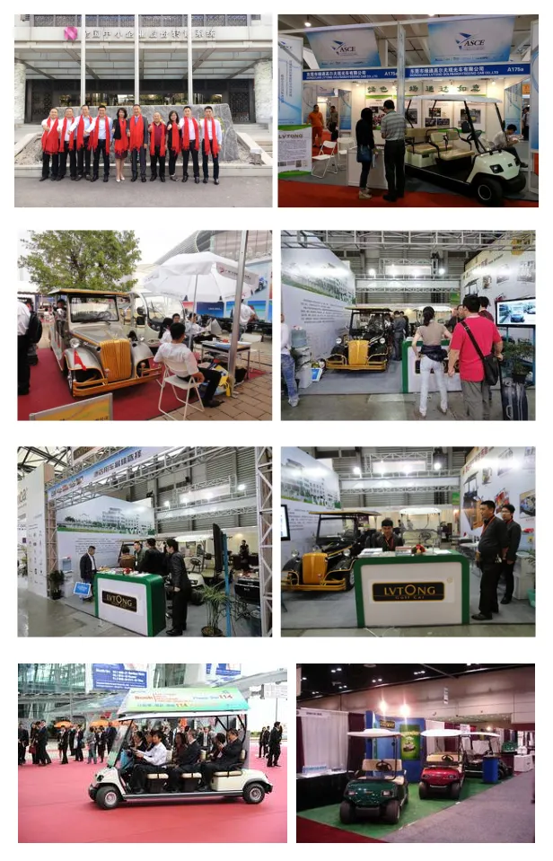 Lvtong Brand Folded Seats Electric Car for Resort Use