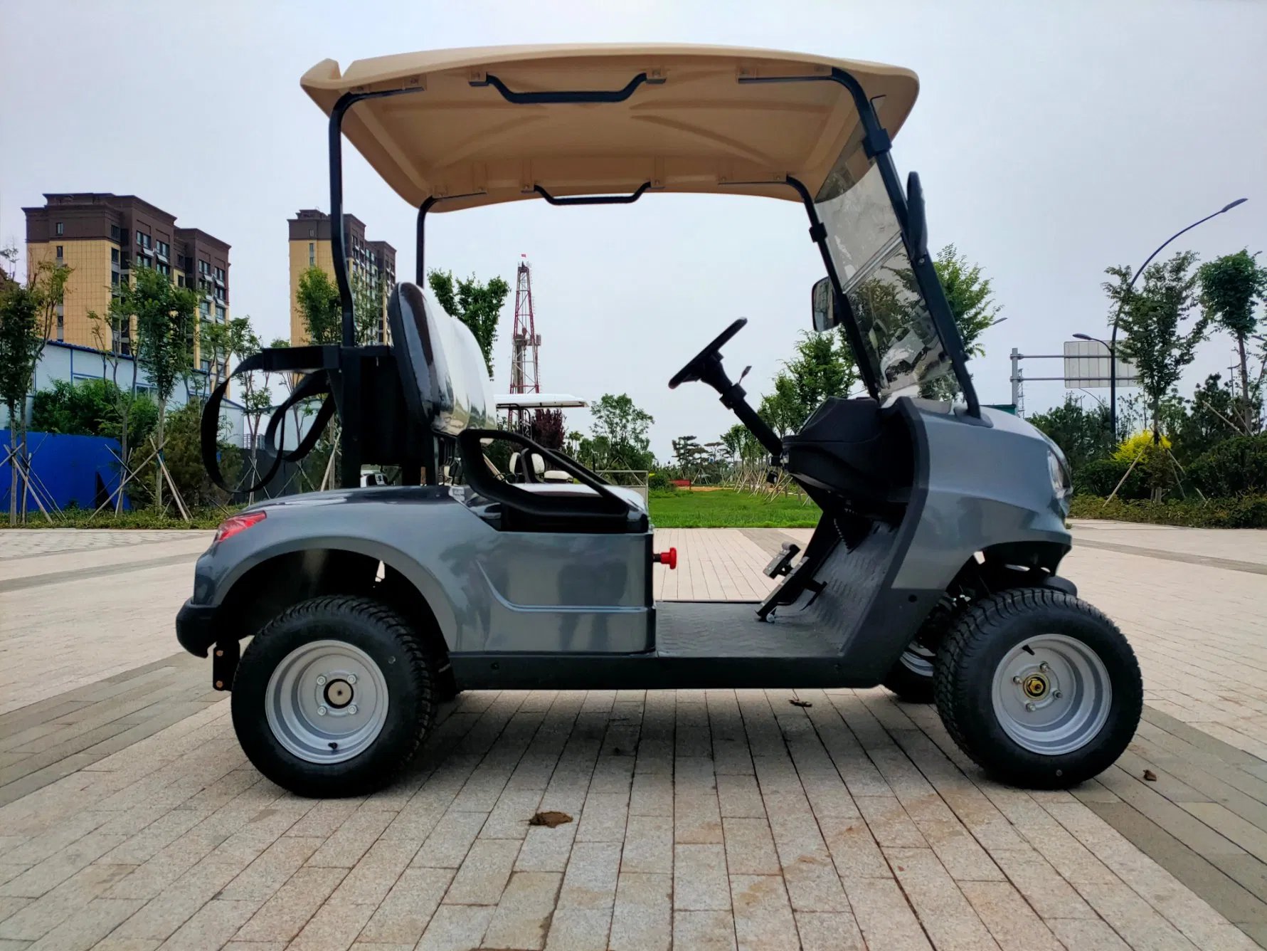 New Model Electric 2 Seats Offroad Buggy Golf Cart